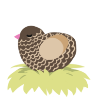 (unnamed), a bark and beige chicken with a lace pattern