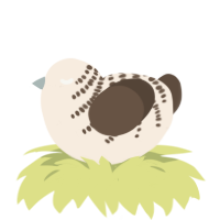 (unnamed), a cream and bark chicken with a half-bar pattern