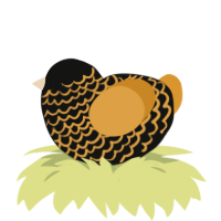 Pumpkin, a black and orange chicken with a lace pattern