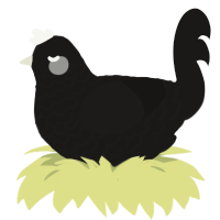 Darker, a sable chicken with a lace pattern
