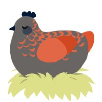 Jasper Geode, a grey and vermilion chicken with a half-lace pattern