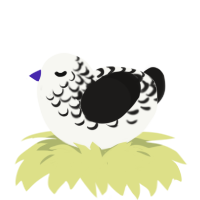 ufs, a white and sable chicken with a half-lace pattern