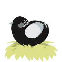 The Horrors, a sable and mist chicken with a neck-band pattern
