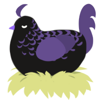 VII Snail, a sable and overcast chicken with a half-lace pattern