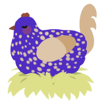 A indigo and beige chicken with a speckle pattern