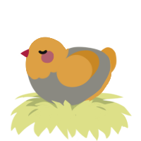 Eggshell, a ash and orange chicken with a head pattern