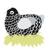 (unnamed), a sable and mist chicken with a lace pattern