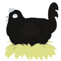 (unnamed), a black and sable chicken with a lace pattern