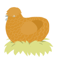orange xxy, a orange chicken with a lace pattern