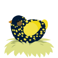 (unnamed), a tumblr and yellow chicken with a speckle pattern