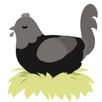(unnamed), a sable and grey chicken with a head pattern