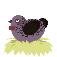 Borth, a indigo and black chicken with a half-lace pattern