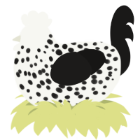 (unnamed), a white and sable chicken with a speckle pattern