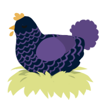 A tumblr and overcast chicken with a lace pattern