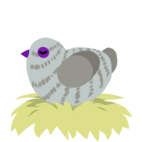 (unnamed), a silver and ash chicken with a bar pattern