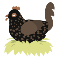 A black and bark chicken with a speckle pattern