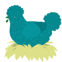A teal chicken with a speckle pattern