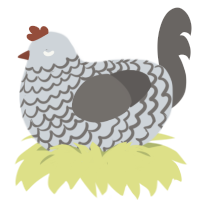A mist and grey chicken with a lace pattern