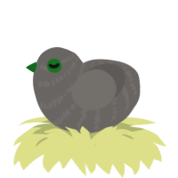 (unnamed), a grey chicken with a bar pattern