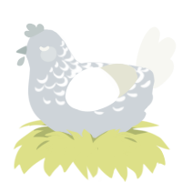 Snow Mountain, a mist and white chicken with a half-lace pattern
