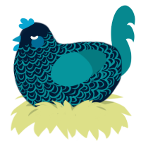 Coast, a tumblr and teal chicken with a double-lace pattern