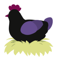 Molière the Abrupt, a black and overcast chicken