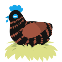 A black and russet chicken with a bar pattern