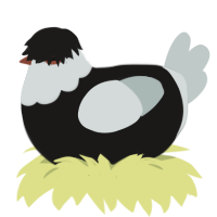 A sable and silver chicken with a head pattern