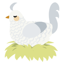 Thimble, a white and mist chicken with a lace pattern