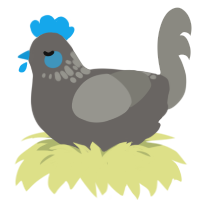 Greeble, a grey and ash chicken with a neck-speckle pattern
