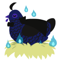 Edgar Allan Poe, a navy and sable chicken with a lace pattern