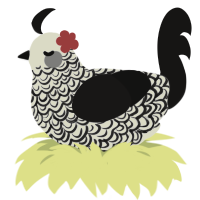 A white and sable chicken with a double-lace pattern