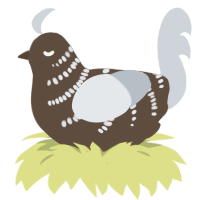 Lichen, a bark and mist chicken with a half-bar pattern