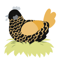 Caution, a black and honey chicken with a lace pattern