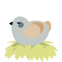 ufs marble top, a silver and beige chicken with a half-lace pattern