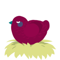 Rovu C Ious, a maroon chicken with a half-lace pattern