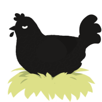 spots 2, a sable chicken with a double-lace pattern