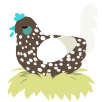 Life Blow, a bark and white chicken with a speckle pattern