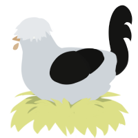 Display Error, a mist and black chicken