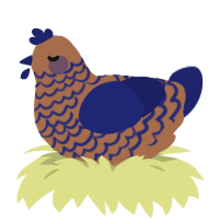 Ford, a brown and navy chicken with a lace pattern