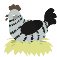 A silver and sable chicken with a bar pattern