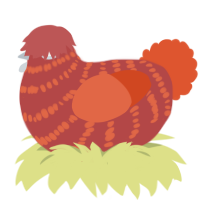 (unnamed), a red and vermilion chicken with a bar pattern