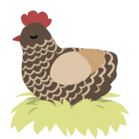 shortbread, a bark and beige chicken with a lace pattern