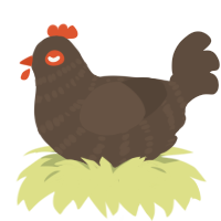 A bark chicken with a bar pattern