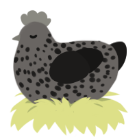burnt cookie, a grey and sable chicken with a speckle pattern