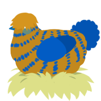 A ochre and ultramarine chicken with a bar pattern