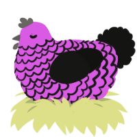 A orchid and black chicken with a lace pattern
