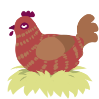 (unnamed), a red and brown chicken with a bar pattern