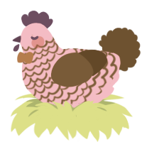 A pink and bark chicken with a lace pattern