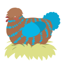 (unnamed), a brown and cerulean chicken with a bar pattern